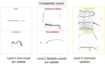 Temporal dynamics of isolation calls emitted by pups in environmental and genetic mouse models of autism spectrum disorder
